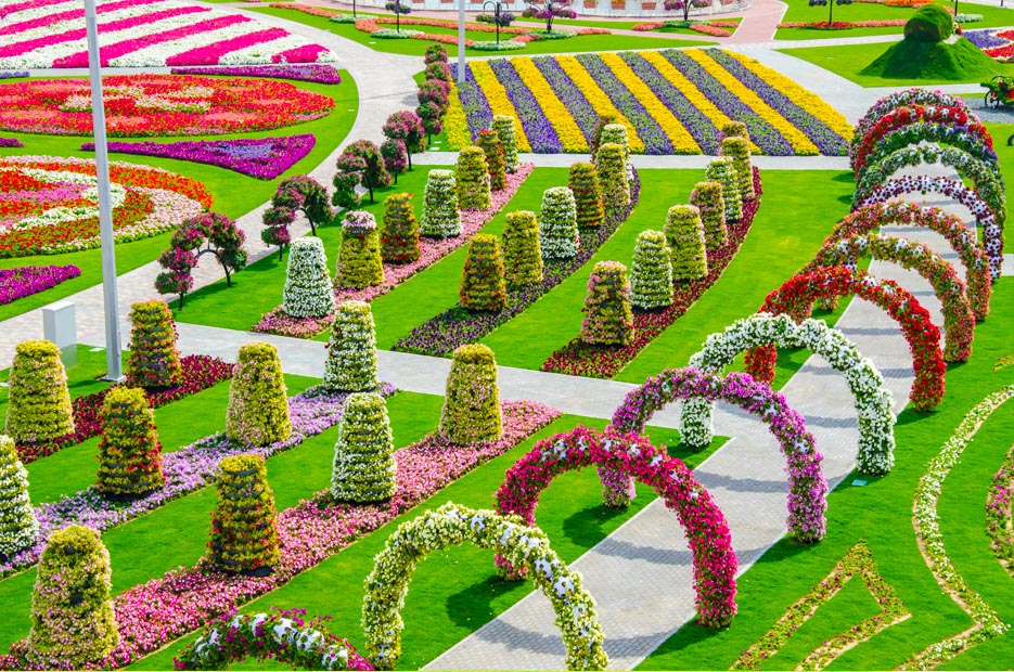 Самый большой парк. Самый большой цветочный парк в мире Дубай. Miracle Garden – чудо-сад среди пустыни. Гарденс Дубай. Арабские эмираты цветочный парк.